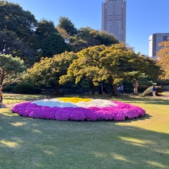 Японский Переводчик, Tokyo