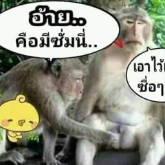 สมหมาย มาไหม, 36 лет, Udon Thani