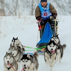 Илья Чаруковский, 41 год, Новосибирск