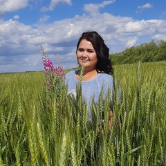 Алина Ибрагимова