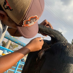 Iván Cornejo, 25 лет, Culiacán