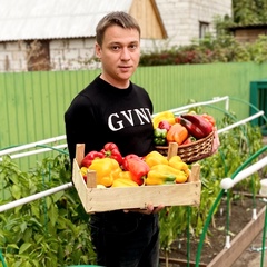 Денис Выскребенцев, Воронеж