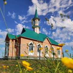 Фаниль Багманов, Краснохолмский