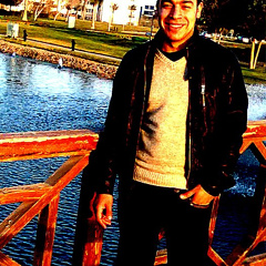 Walid Rizk, 33 года, Giza