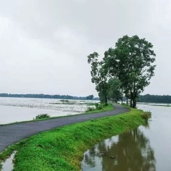 Kumari Ranu, 30 лет, Kolkata