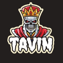 Tavin Tvn, 19 лет, Palmas