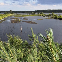 Наталья Курникова, Tostedt