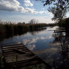 Виктория Матюк, Днепр (Днепропетровск)