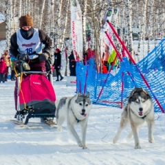 Алексей Агеев, 39 лет, Магнитогорск