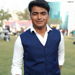 Dilshad Siddiqui, 28 лет, Bareilly