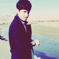 Hamed Karimi, 21 год, Herat