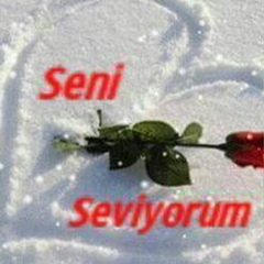 Mehmet Şenol, 33 года, Gaziantep