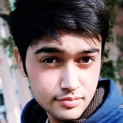 Muhammad-Hamza Zahid, 24 года, Islamabad