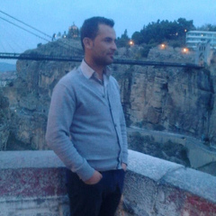 Salah Ezzebsa, 41 год, Annaba