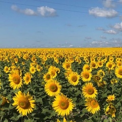 Гульназ Вахитова, Чебоксары