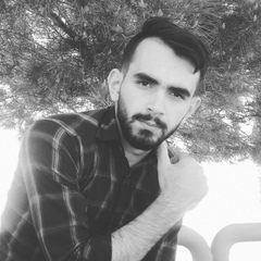 Yosuf Gholizadeh, 25 лет, Tabriz