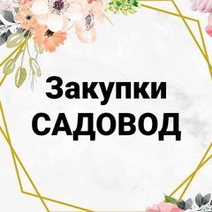 Инна Тамбовская, 34 года, Тамбов