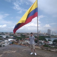 Alejandro Camacho, 28 лет, Bogotá