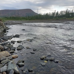 Маргарита Гнедова, Норильск