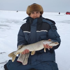 Владимир Губский, 35 лет, Костанай