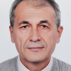 Vasfiddin Engin, 64 года, Санкт-Петербург