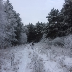 Максим Семёнов, 38 лет, Омск