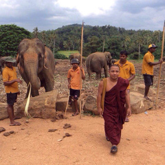 Visu Ta, 43 года, Yangon