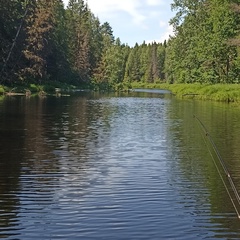 Павел Лебедев, Коноша