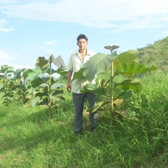 Regustino Cutin-Abad, Chiclayo