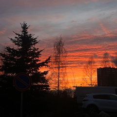 Евгений Комаренко, Москва