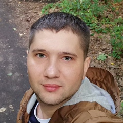 Дмитрий Шипулин, 37 лет, Тольятти