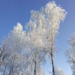 Марина Мантачик, Минск