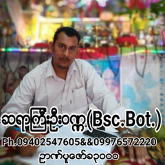 ေဗဒင္လကၡဏာဆရာၾကီးဥ ဆရာၾကီးဦးဝဏၰ, 41 год