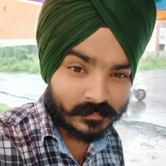 Gurpreet Dhogri, 30 лет, Jalandhar