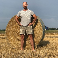 Владимир Полковников, Новосибирск