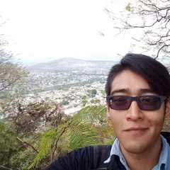 Eduar Cue, 28 лет, Oaxaca de Juárez