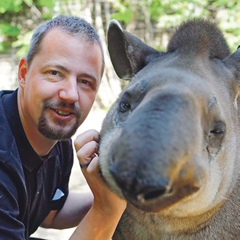 Zoltán Hanga, 45 лет, Budapest