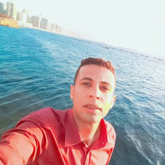 Mostafa Kamel, 30 лет, Giza