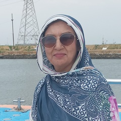 Sultana Ahsan, 59 лет, Karachi