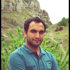 Vethek Huseyin, 35 лет, Gaziantep