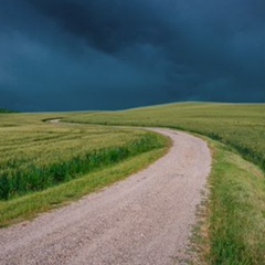 Филипп Велько, Санкт-Петербург