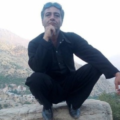 Mohamad Lotfi, 44 года, Kermanshah