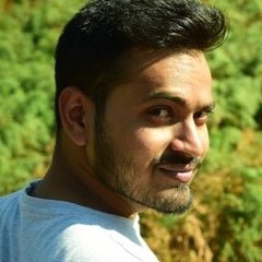 Puneet Tiwari, 30 лет, Delhi