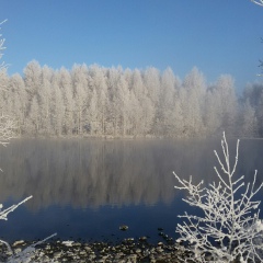 Александр Андреев, Томск