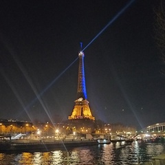 Аня Калинникова, 37 лет, Paris