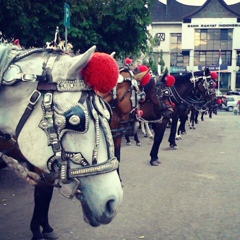 Ricko Bahemar, Bukittinggi