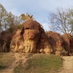 Николай Лебедев, Хабаровск