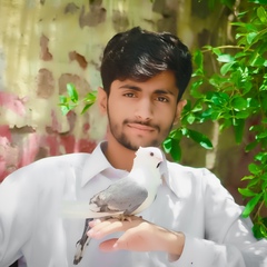 Itxshahbaz Itxshahbaz, 22 года, Islamabad