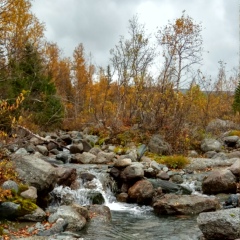 Юля Притыкина, Луганск