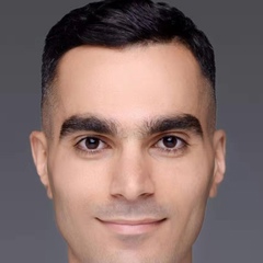 Faryar Sanaee, 33 года, Nanjing